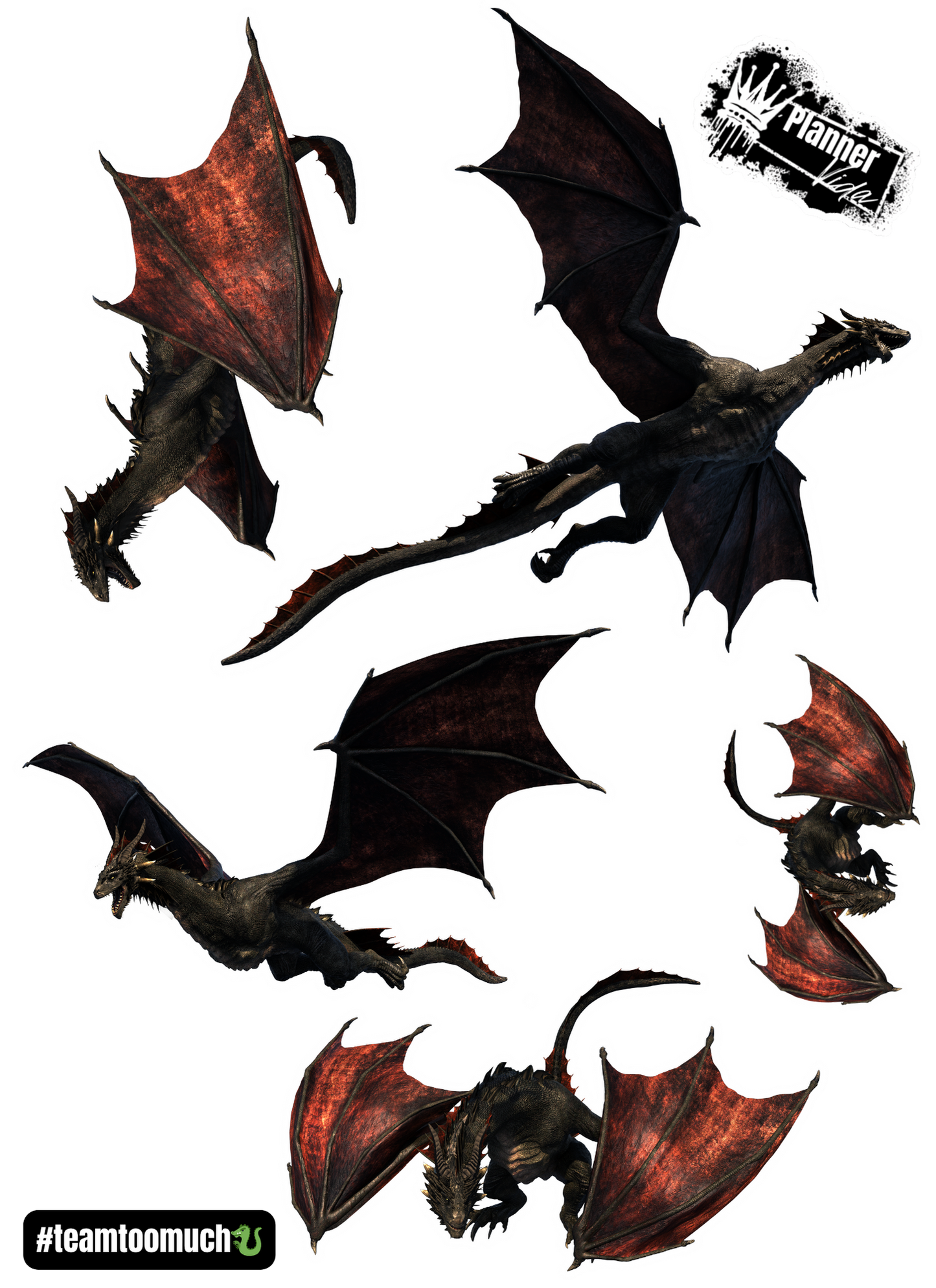 #teamtoomuch (Dragons) All 5
