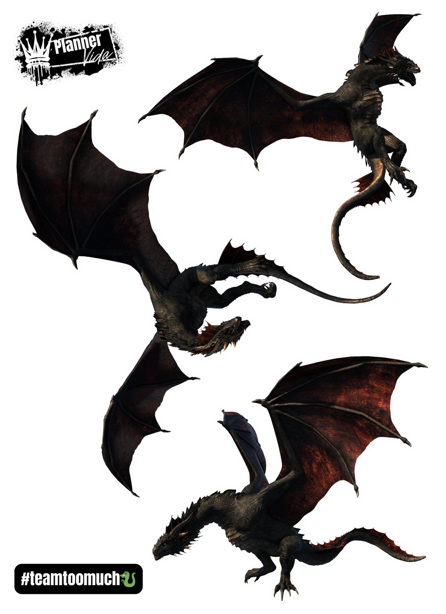 #teamtoomuch (Dragons) All 5