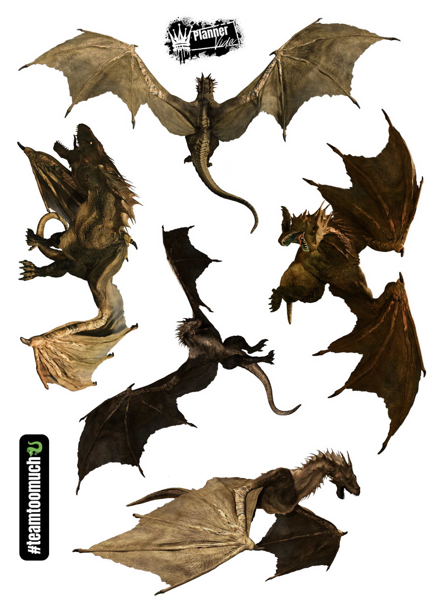 #teamtoomuch (Dragons) All 5