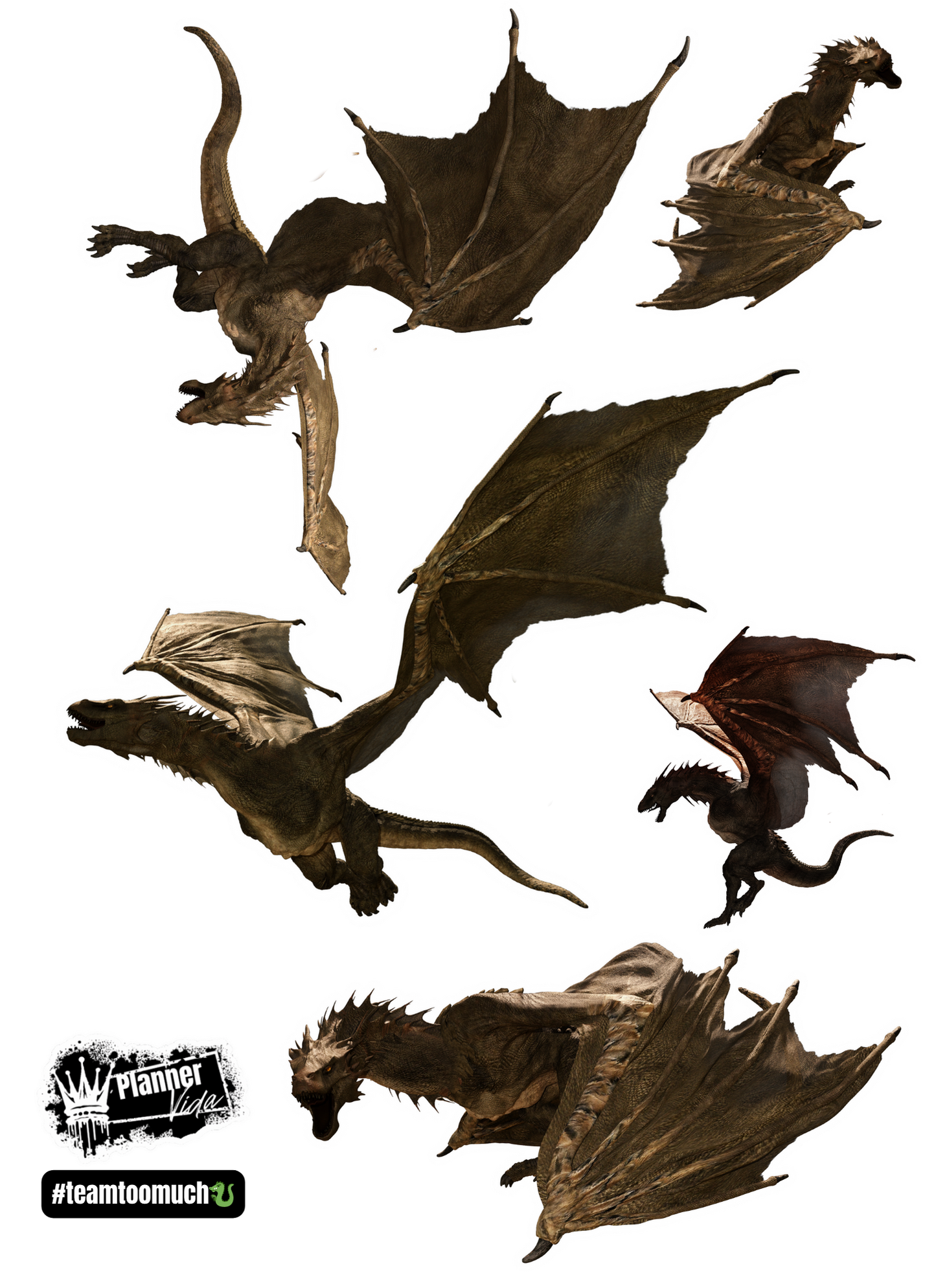 #teamtoomuch (Dragons) All 5