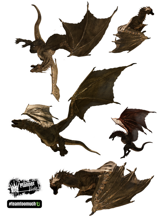 #teamtoomuch (Dragons) All 5