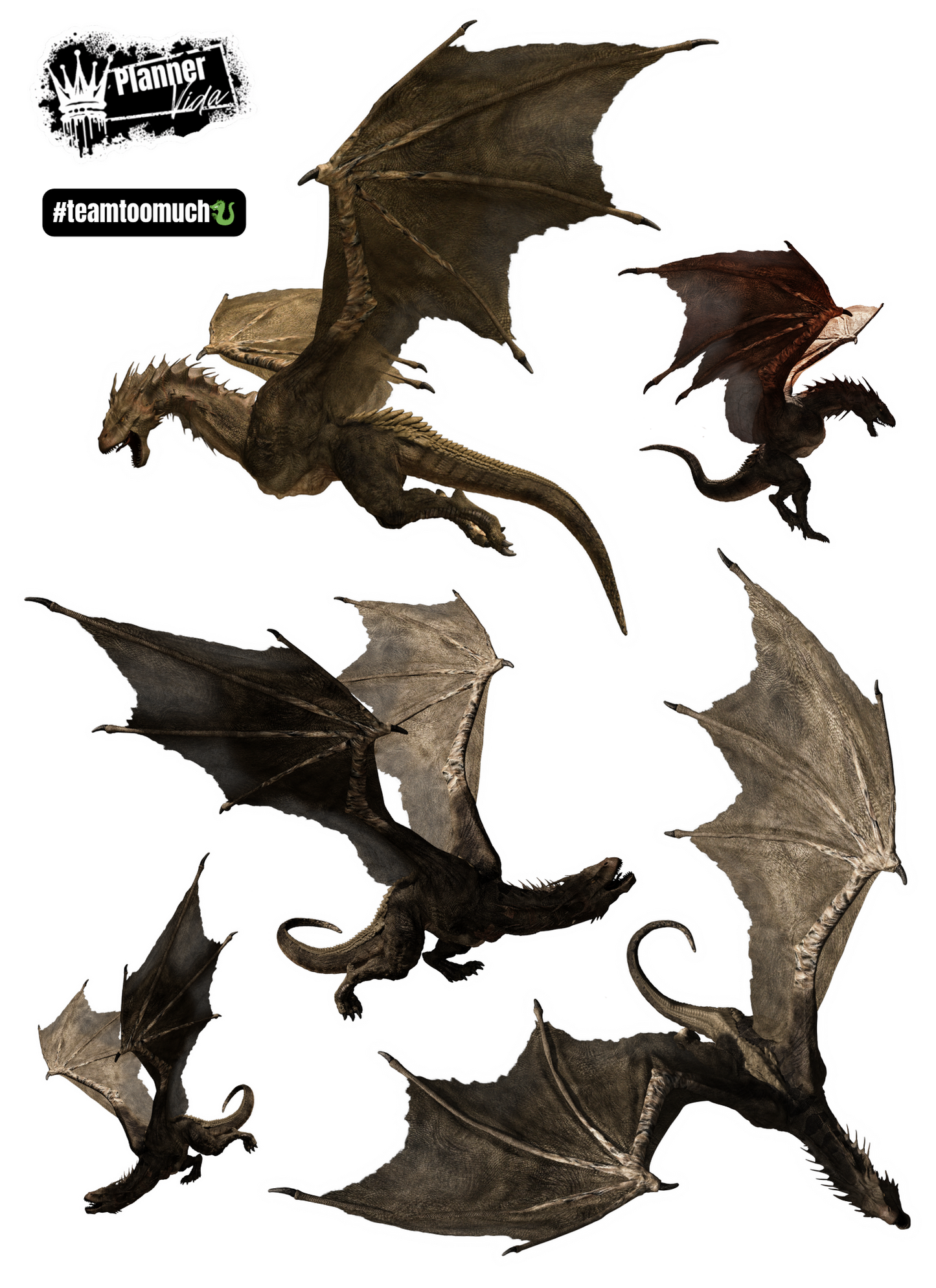 #teamtoomuch (Dragons) All 5